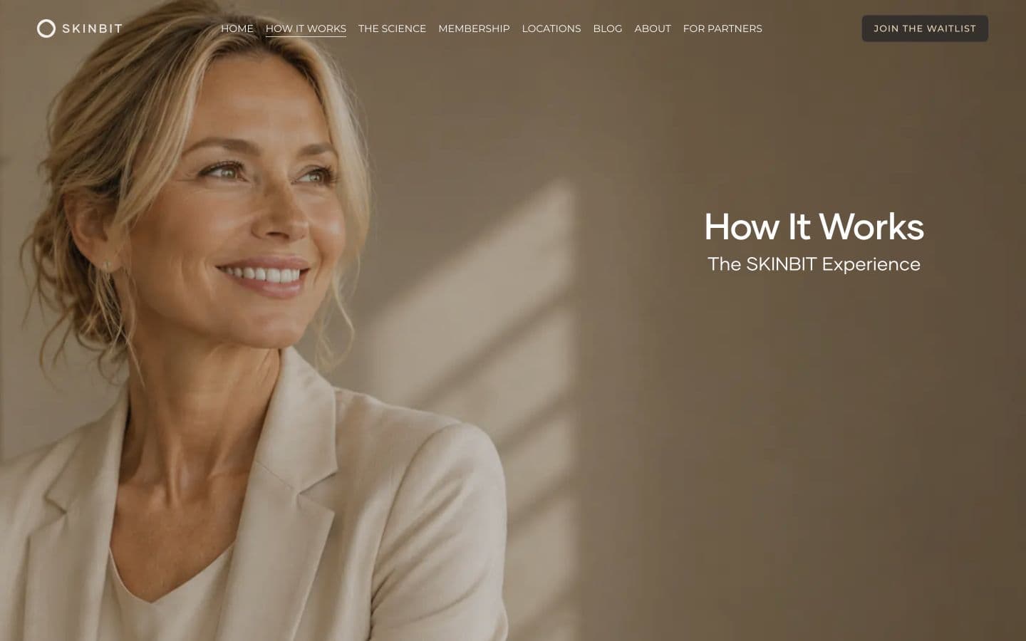 Page How It Works du site SkinBit, consacrée au parcours membre